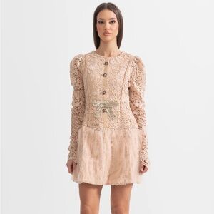 NWT Sierra Darien Elegant‎ Lace Long Sleeve Dress in Cream M
